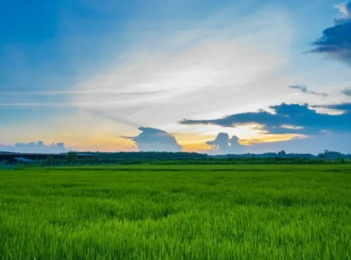 Agriculture logistics
